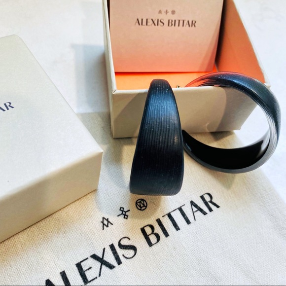 Alexis Bittar Wide Graduated Medium Hoop Earrings - Picture 14 of 16